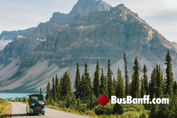 Bus Banff from Calgary