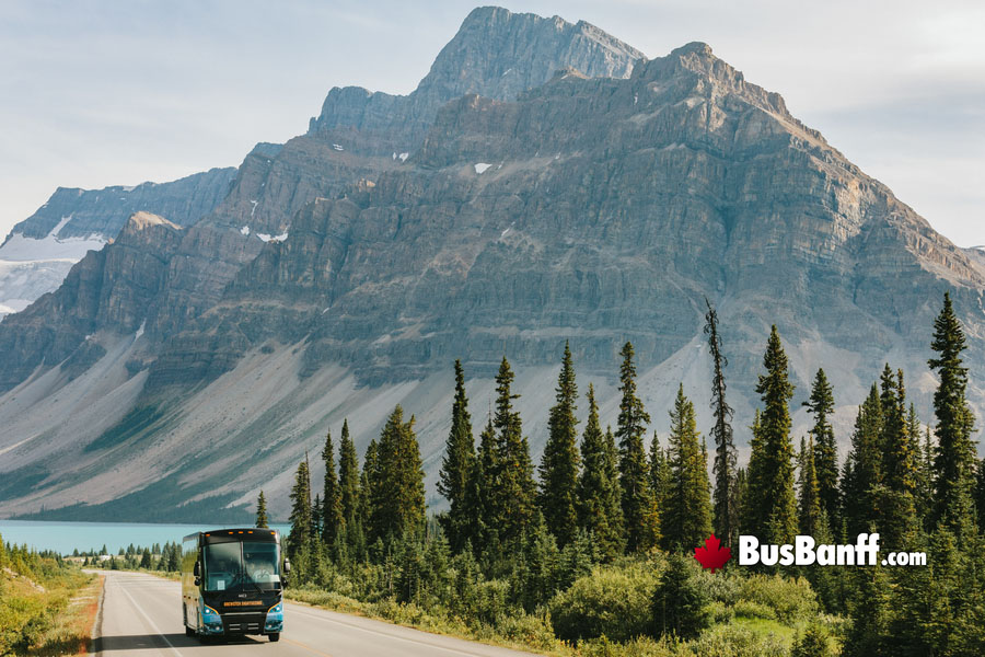 What are the Best Bus Tours in the Canadian Rockies