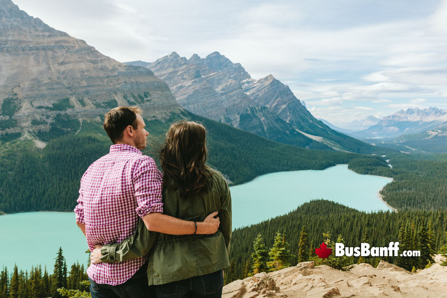 Bus Banff, Icefields, Peyto Lake, Bow Lake, Jasper and Maligne Lake Tours