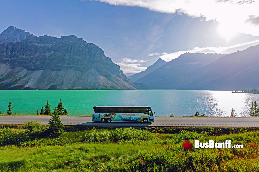 Bus Banff and Full Canadian Rockies Tours