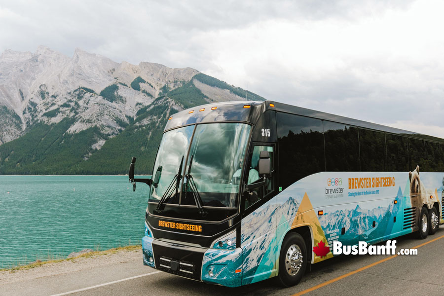 Bus Tours to the Columbia Icefield