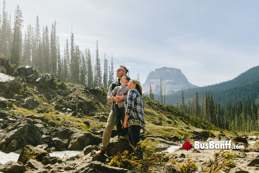 Sight Seeing in Banff National Park by Bus