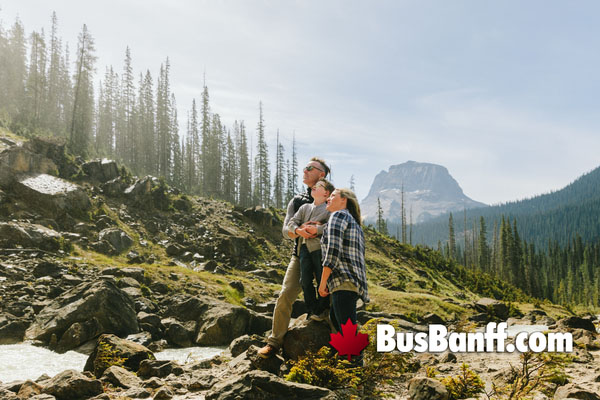 Sight See in Banff National Park by Bus